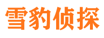 柳河市婚外情调查